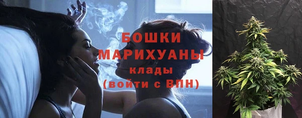 соль ск Арсеньев