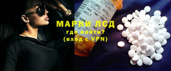 прущие грибы Армянск