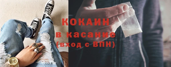 прущие грибы Армянск