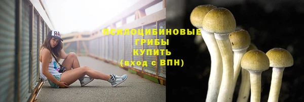 соль ск Арсеньев