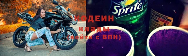 прущие грибы Армянск