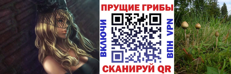 OMG сайт  Людиново  Галлюциногенные грибы MAGIC MUSHROOMS 