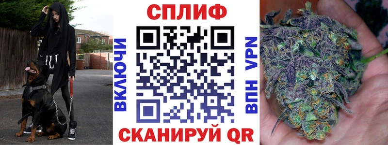 Каннабис сатива  Людиново 